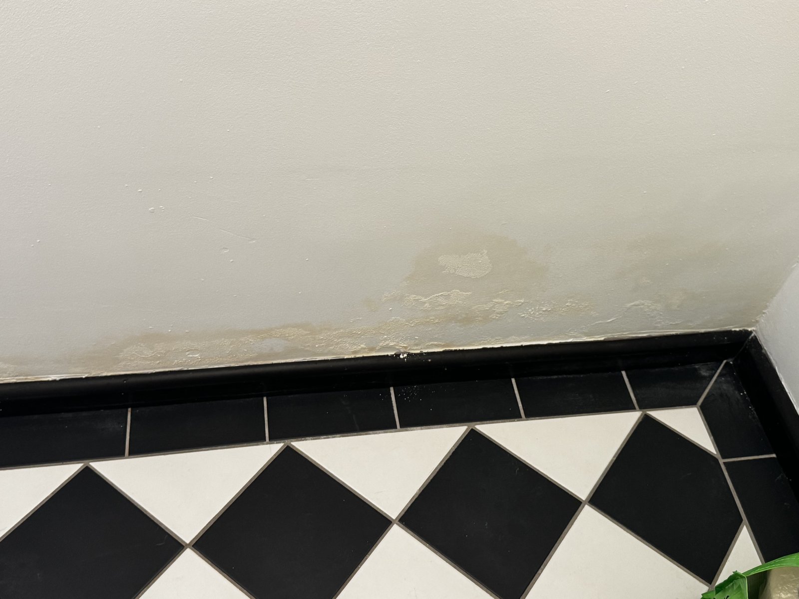 Peeling paint and damp on a shared wall in a Berlin Altbau stairwell